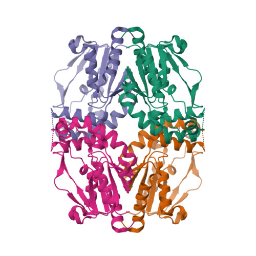 RCSB PDB - 2JEO: Crystal structure of human uridine-cytidine kinase 1