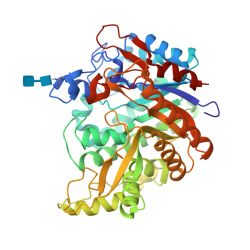 RCSB PDB - 2JFE: The crystal structure of human cytosolic beta-glucosidase