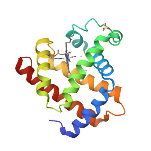 RCSB PDB - 2JHO: Cyanomet Sperm Whale Myoglobin at 1.4A resolution