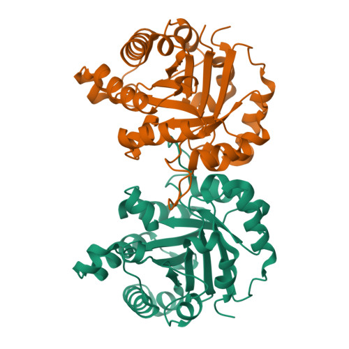 RCSB PDB - 2JK2: STRUCTURAL BASIS OF HUMAN TRIOSEPHOSPHATE ISOMERASE ...