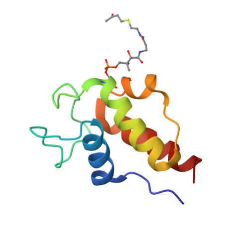 Rcsb Pdb Kgd Nmr Solution Structures Of Oxo Butyl Acp An Intermediate Mimic From The