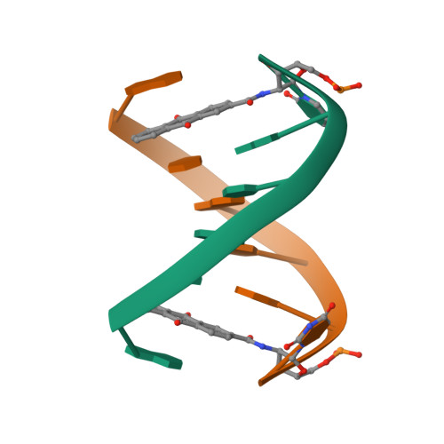 RCSB PDB - 2KK5: High Fidelity Base Pairing at the 3'-Terminus