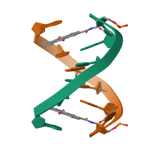 RCSB PDB - 2KK5: High Fidelity Base Pairing at the 3'-Terminus