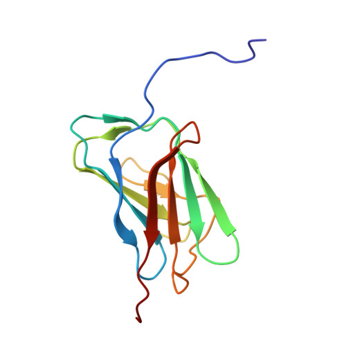 RCSB PDB 2KPW NMR Solution Structure Of Lamin B1 Protein From Homo