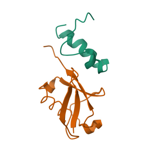 DNA polymerase iota structure