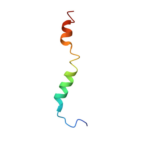 Genome polyprotein structure