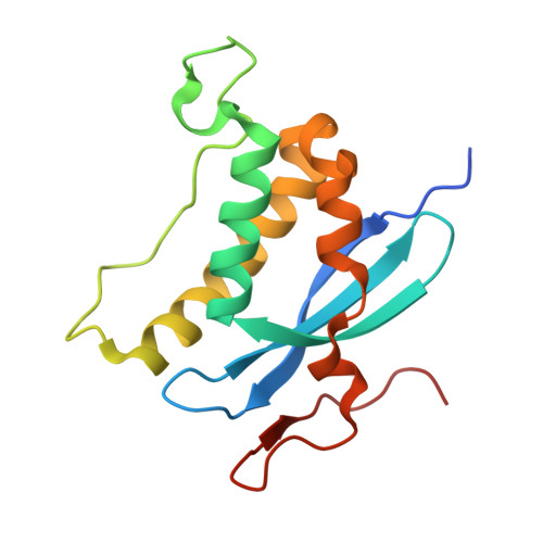 NADPH oxidase organizer 1 structure