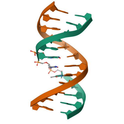 RCSB PDB - 2L8P: Solution Structure of a DNA Duplex Containing the ...