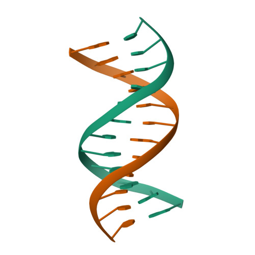 RCSB PDB - 2LIA: Solution NMR structure of a DNA dodecamer containing ...