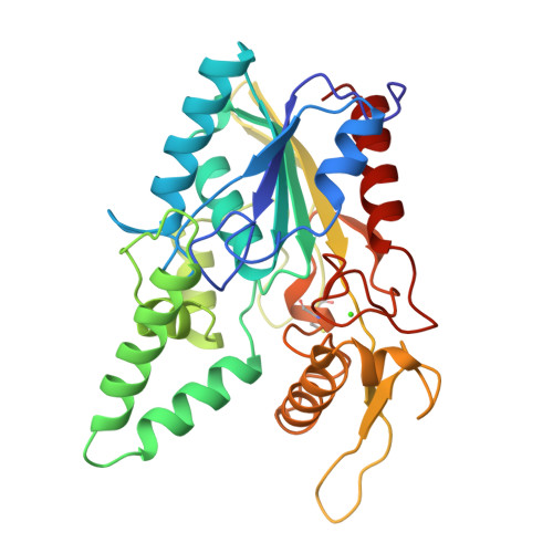 RCSB PDB - 2LIP: PSEUDOMONAS LIPASE OPEN CONFORMATION