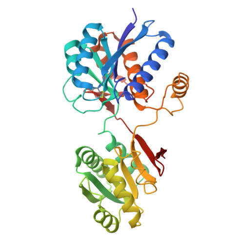 RCSB PDB - 2LIV: PERIPLASMIC BINDING PROTEIN STRUCTURE AND FUNCTION ...