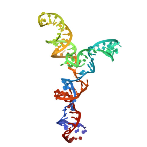 RCSB PDB - 2LKR: Yeast U2/U6 complex