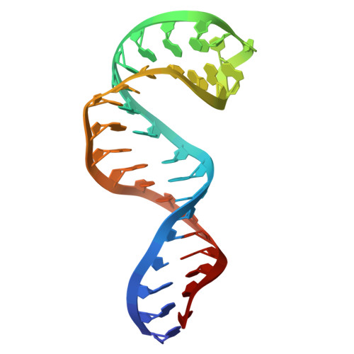 Rcsb Pdb 2lub High Resolution Nmr Solution Structure Of Helix H1 Of The Human Har1 Rna 5472