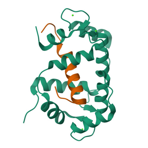 Cyclic nucleotide-gated channel alpha-2 structure