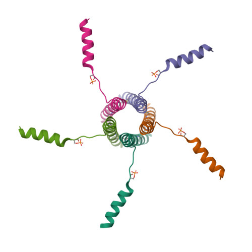 Rcsb Pdb 2m3b Serine 16 Phosphorylated Phospholamban Pentamer Hybrid Solution And Solid 8071