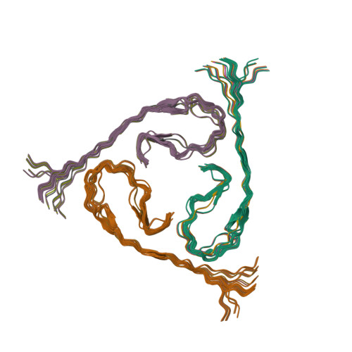 PDB-101: Molecule of the Month: Amyloids