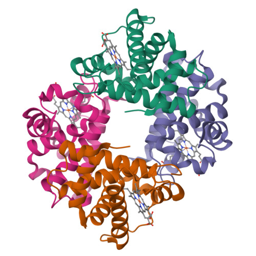 RCSB PDB - 2M6Z: Refined Solution Structure Of Human Adult Hemoglobin ...