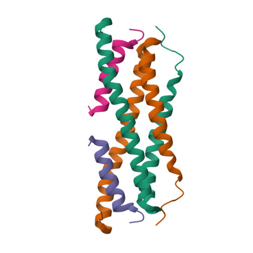 Calcium release-activated calcium channel protein 1 structure
