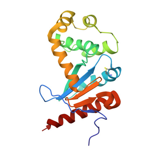 RCSB PDB - 2MBT: NMR study of PaDsbA