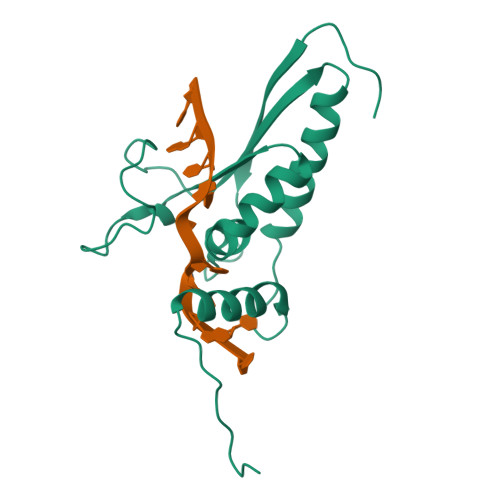 RCSB PDB - 2MJH: Solution structure of the GLD-1 RNA-binding domain in  complex with RNA