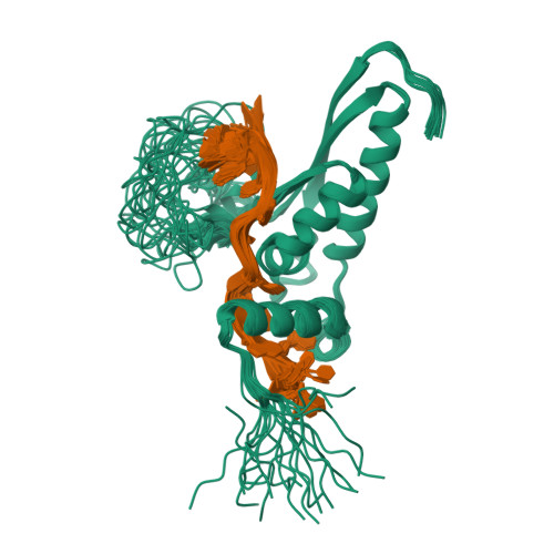 RCSB PDB - 2MJH: Solution structure of the GLD-1 RNA-binding domain in  complex with RNA