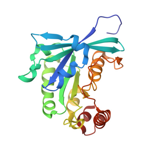 RCSB PDB - 2MMC: Nucleotide-free human ran gtpase