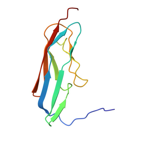 Rcsb Pdb 2mqg Solution Structure Of A Bacterial Immunoglobulin Like Domain Form A Surface 5895