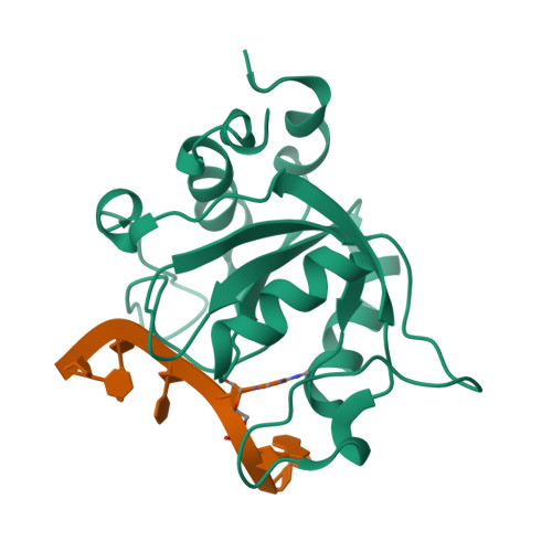 RCSB PDB - 2MTV: Solution Structure of the YTH Domain of YT521-B in ...