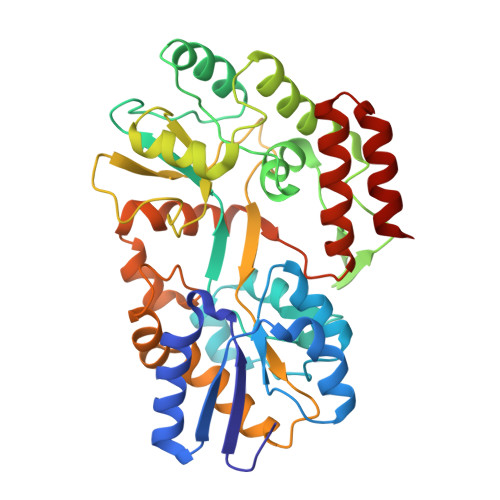 RCSB PDB - 2N45: EC-NMR Structure of Escherichia coli Maltose-binding ...