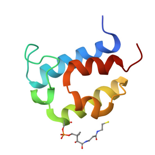 Yersiniabactin biosynthetic protein structure
