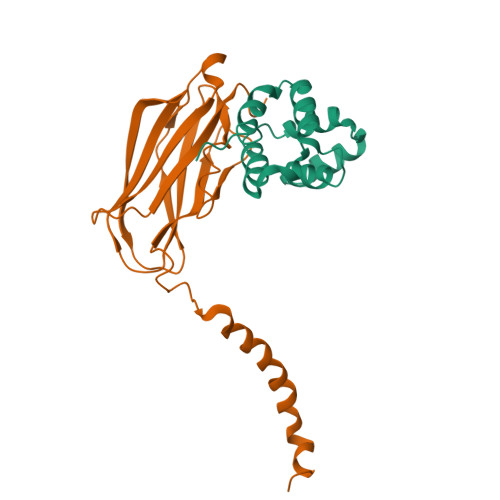 PDB 2N80
