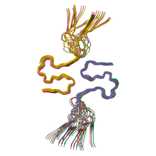 PDB-101: Molecule of the Month: Amyloids