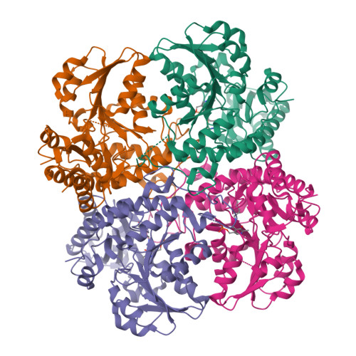 RCSB PDB - 2NMP: Crystal structure of human Cystathionine gamma lyase