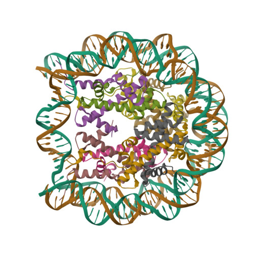 RCSB PDB - 2NQB: Drosophila Nucleosome Structure