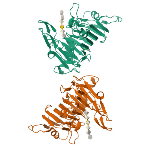 つぶ様 RCSB PDB - 2NSP: Crystal structure of pectin methylesterase D178A