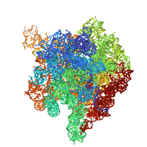 RCSB PDB - 2O45: Structure of the 23S rRNA of the large ribosomal ...