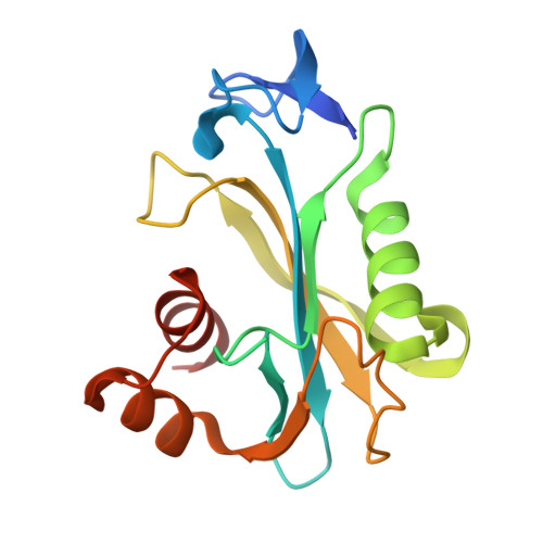 Crystal structure of the Deinococcus radiodurans single-stranded