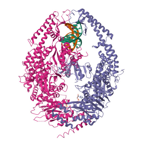 PDB 2O8B