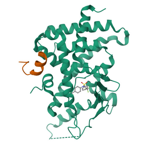 ガツン17 HHBD CPX h4CBH THXE CRDP CNP Amazon | 【公式】 HHBD H4CBH