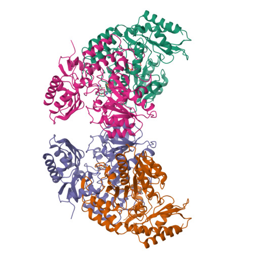 RCSB PDB - 2OAT: ORNITHINE AMINOTRANSFERASE COMPLEXED WITH 5 ...