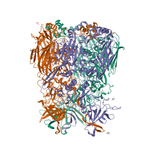 RCSB PDB - 2OBE: Crystal Structure of Chimpanzee Adenovirus (Type 68