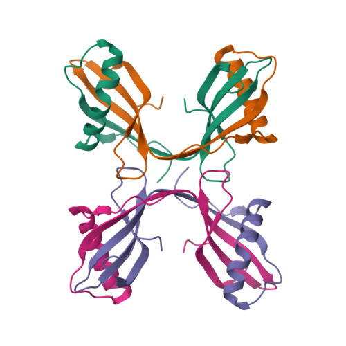 RCSB PDB - 2OCT: Stefin B (Cystatin B) Tetramer