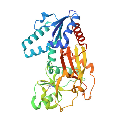 RCSB PDB - 2ODT: Structure of human Inositol 1,3,4-trisphosphate 5/6-kinase