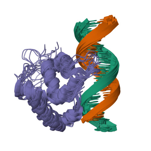 3d dna structure labeled