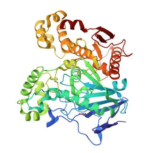 RCSB PDB - 2OGT: Crystal Structure Of The Geobacillus ...