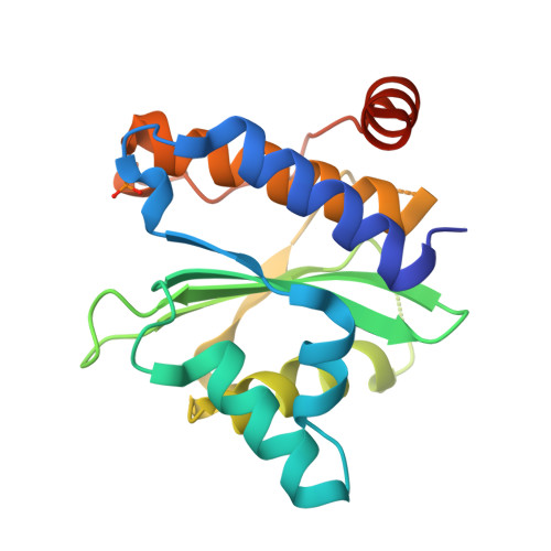 Rcsb Pdb Oiv Structural Analysis Of Xanthomonas Xopd Provides