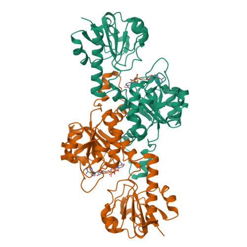 RCSB PDB - 2OME: Crystal structure of human CTBP2 dehydrogenase ...