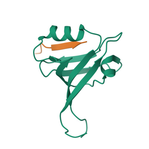 RCSB PDB - 2OS6: Solution structure of LARG PDZ domain in complex with ...