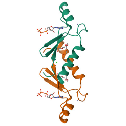 RCSB PDB - 2P09: Structural Insights into the Evolution of a Non