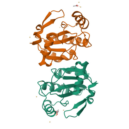 glutathione peroxidase structure